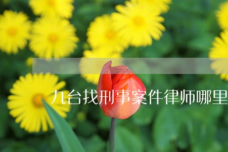 九台找刑事案件律师哪里好