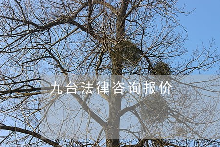 九台法律咨询报价