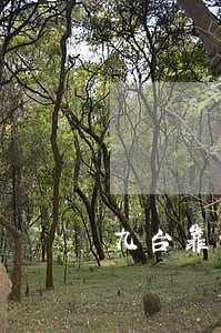 九台靠谱合同违约赔偿律师 九台靠谱合同违约赔偿律师