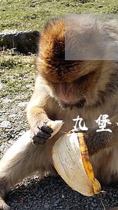九堡合同律师免费法律咨询 九堡合同律师免费法律咨询