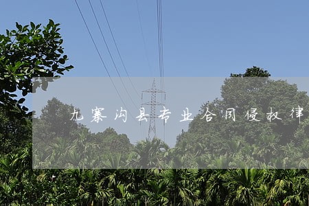 九寨沟县专业合同侵权律师 九寨沟县专业合同侵权律师