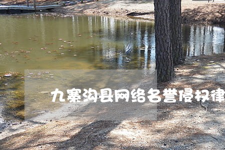 九寨沟县网络名誉侵权律师 九寨沟县网络名誉侵权律师