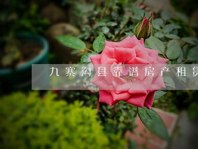 九寨沟县靠谱房产租赁律师 九寨沟县靠谱房产租赁律师