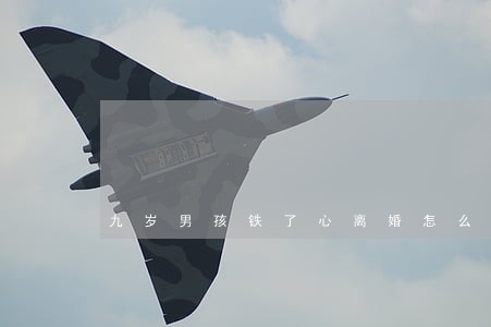 九岁男孩铁了心离婚怎么办 九岁男孩铁了心离婚怎么办