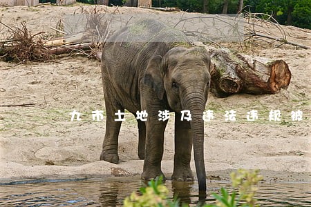 九市土地涉及违法违规被处罚 九市土地涉及违法违规被处罚