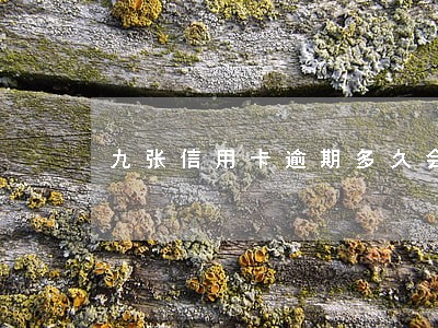 九张信用卡逾期多久会坐牢