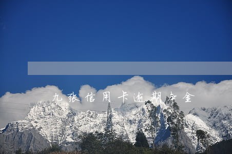 九张信用卡逾期本金 九张信用卡逾期本金