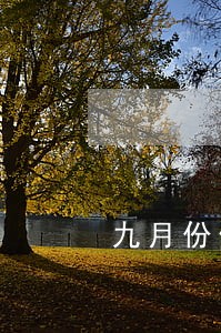 九月份信用卡逾期