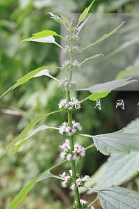 九月网贷逾期图 九月网贷逾期图