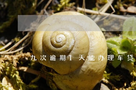 九次逾期1天能办理车贷吗 九次逾期1天能办理车贷吗