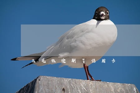 九毛也逾期了信用卡 九毛也逾期了信用卡