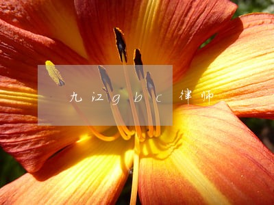 九江gbc律师 九江gbc律师