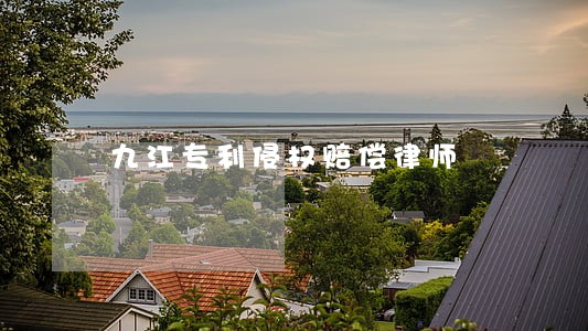 九江专利侵权赔偿律师