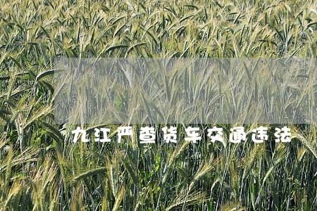 九江严查货车交通违法