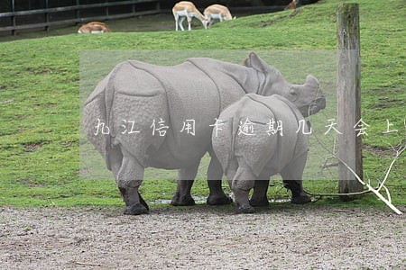 九江信用卡逾期几天会上征信吗