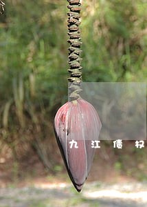 九江债权债务律师 九江债权债务律师