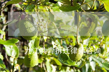 九江共青拆迁律师咨询 九江共青拆迁律师咨询