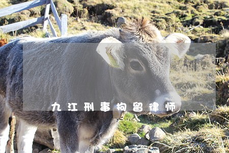 九江刑事拘留律师 九江刑事拘留律师