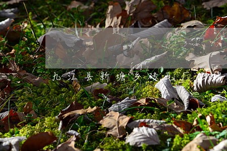 九江县新塘乡砖瓦厂法律风险查询 九江县新塘乡砖瓦厂法律风险查询