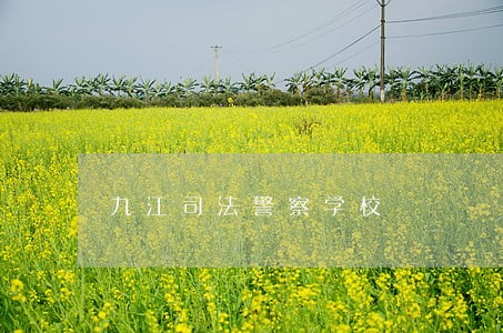 九江司法警察学校 九江司法警察学校