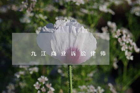 九江商业诉讼律师 九江商业诉讼律师