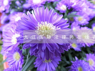 九江国际法律师在线咨询