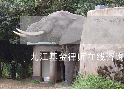 九江基金律师在线咨询 九江基金律师在线咨询