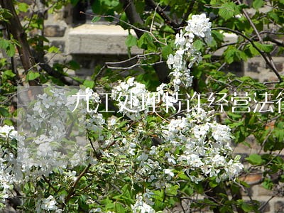 九江处理特许经营法律问题律师 九江处理特许经营法律问题律师
