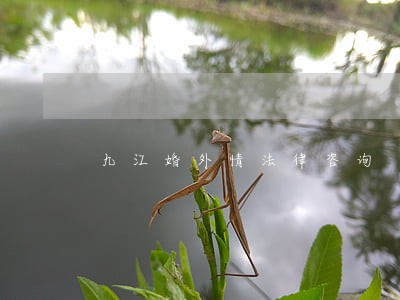九江婚外情法律咨询