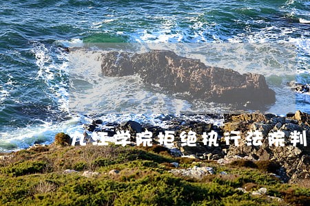 九江学院拒绝执行法院判决书 九江学院拒绝执行法院判决书
