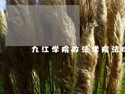 九江学院政法学院法律援助中心 九江学院政法学院法律援助中心