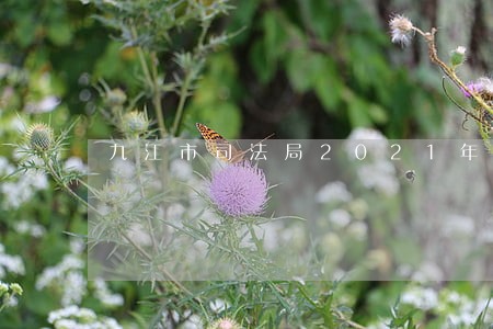 九江市司法局2021年部门预算 九江市司法局2021年部门预算