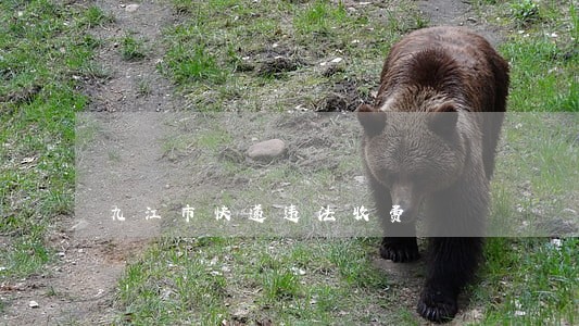 九江市快递违法收费 九江市快递违法收费