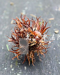 九江市法院名单公布 九江市法院名单公布