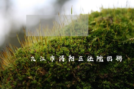 九江市浔阳区法院招聘 九江市浔阳区法院招聘