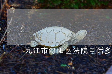 九江市浔阳区法院电话多少 九江市浔阳区法院电话多少