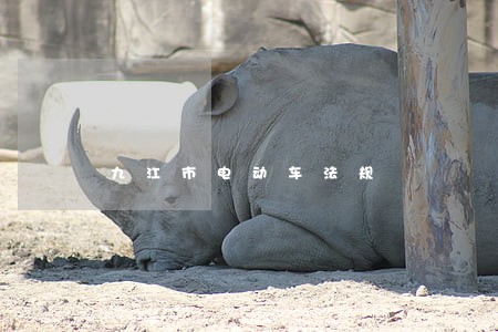 九江市电动车法规 九江市电动车法规