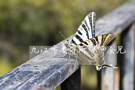 九江市看守所律师会见 九江市看守所律师会见