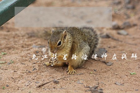 九江损害赔偿律师在线解答 九江损害赔偿律师在线解答