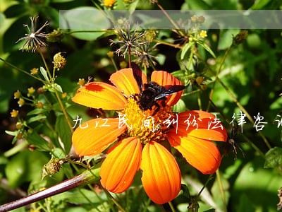 九江民间纠纷法律咨询 九江民间纠纷法律咨询