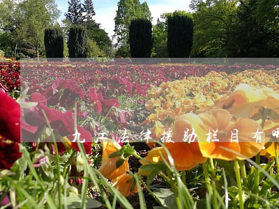 九江法律援助栏目有哪些 九江法律援助栏目有哪些