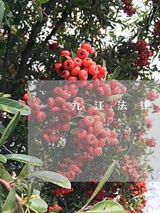 九江法律援助法律咨询网 九江法律援助法律咨询网