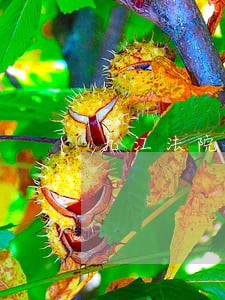 九江法院书记员体检