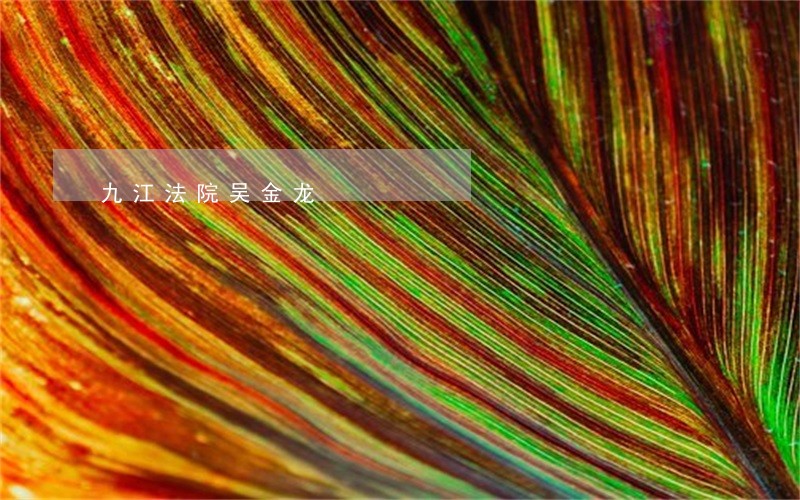 九江法院吴金龙 九江法院吴金龙