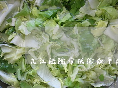 九江法院审叛综合平台