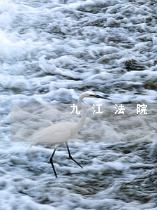 九江法院老干部组织部 九江法院老干部组织部