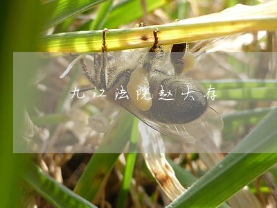 九江法院赵大存