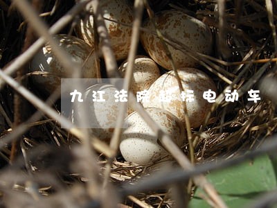 九江法院超标电动车