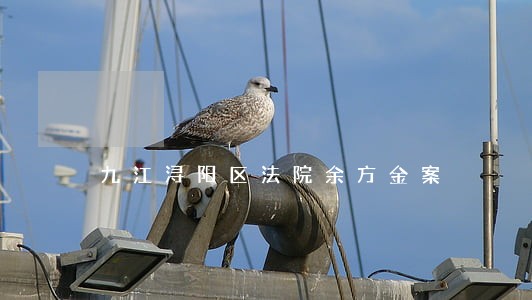 九江浔阳区法院余方金案 九江浔阳区法院余方金案