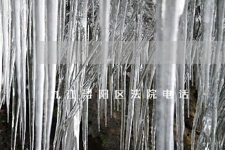 九江浔阳区法院电话